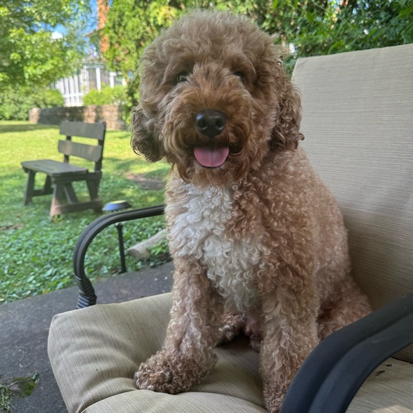 notedbyabbeylee is LIVE! - Picture 4 of 6